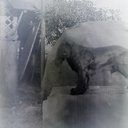 LVSAV1992.019.177.jpg